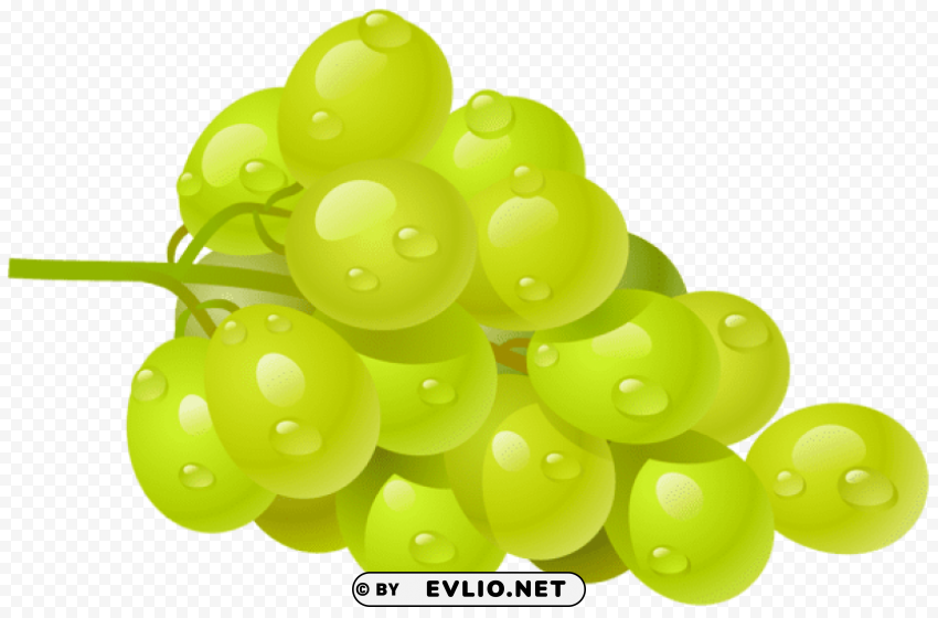 white grapepicture PNG for overlays