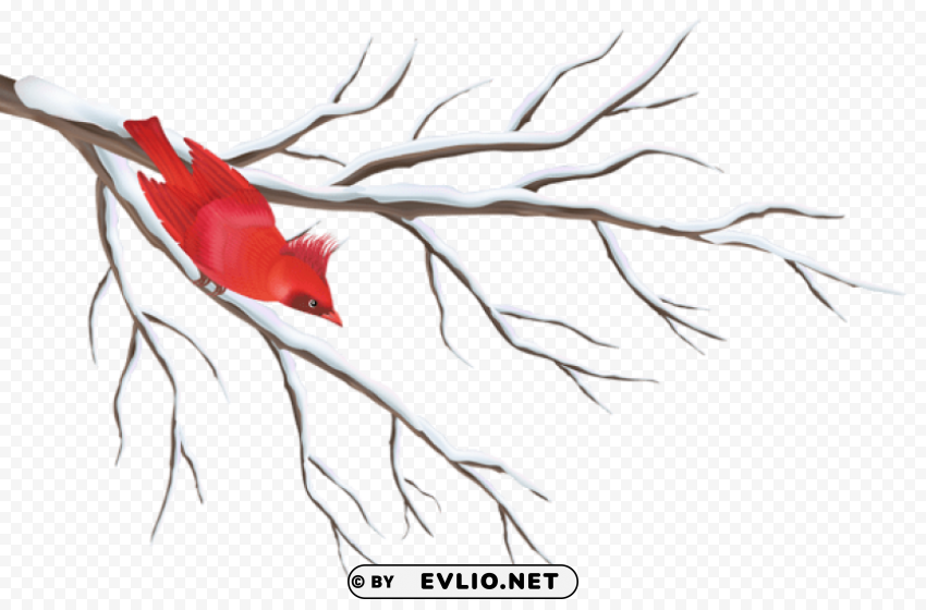 winter branch with bird PNG images with alpha transparency layer