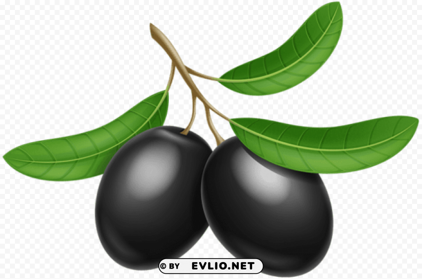 black olives transparent Isolated Graphic Element in HighResolution PNG