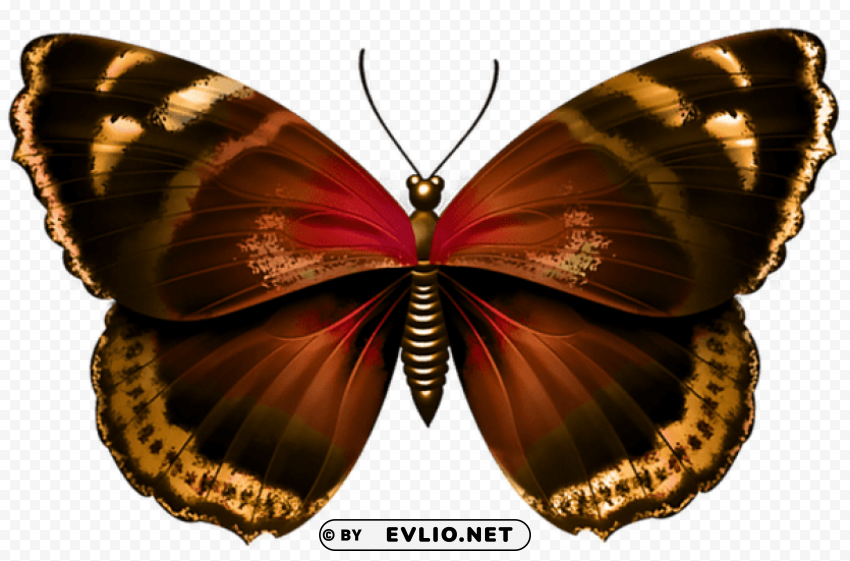 Butterfly Isolated Artwork On Transparent Background