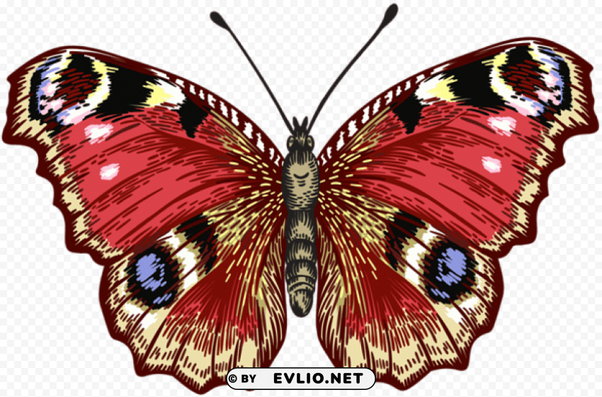 butterfly Transparent PNG Isolated Item clipart png photo - 063d6830