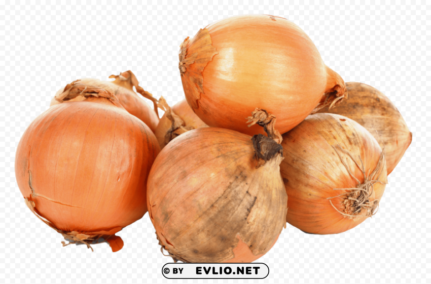 onions Clear Background PNG Isolated Item