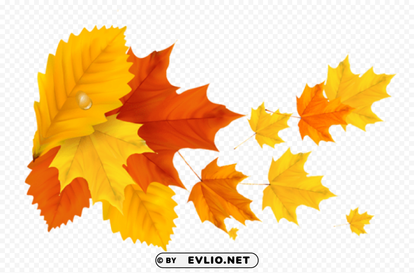yellow orange fall leafspicture Transparent Background PNG Object Isolation