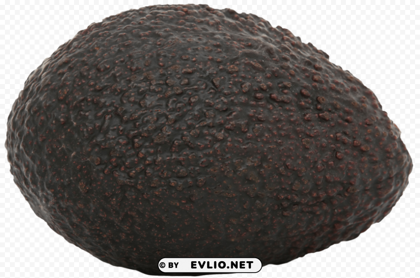 avocado Free PNG images with transparent layers PNG images with transparent backgrounds - Image ID 785a9d39