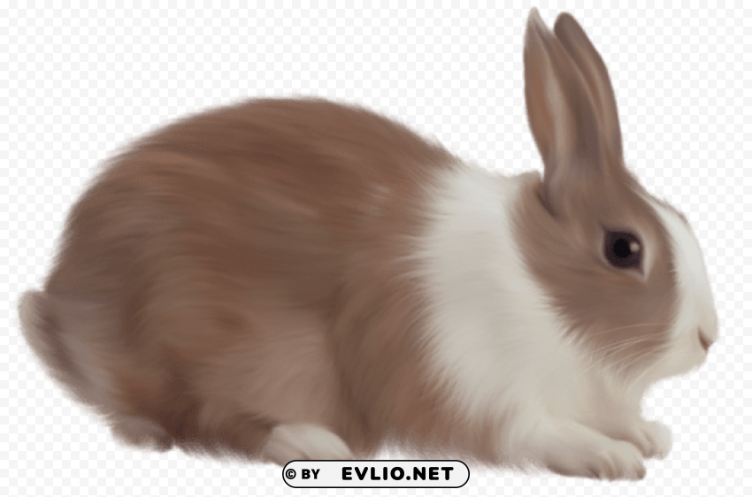 brown rabbit free Isolated Element with Transparent PNG Background