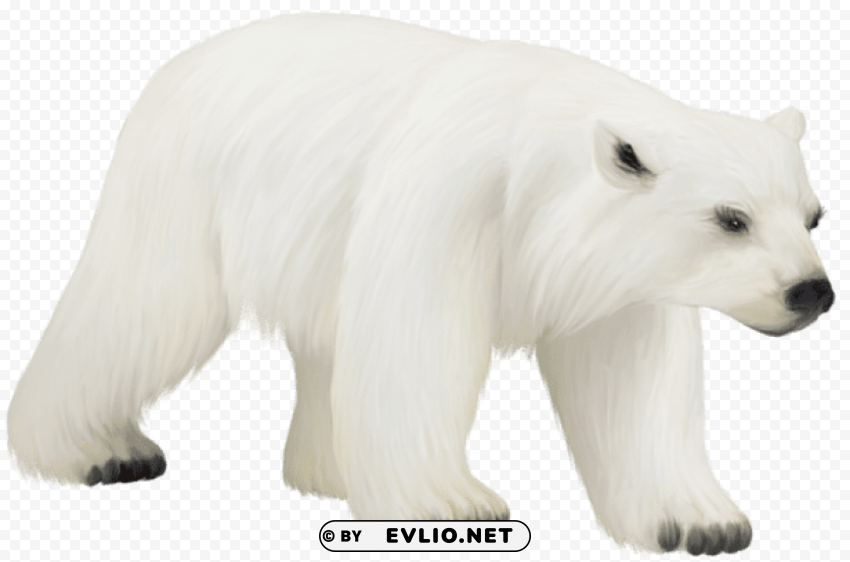 large painted polar bear PNG files with clear background bulk download