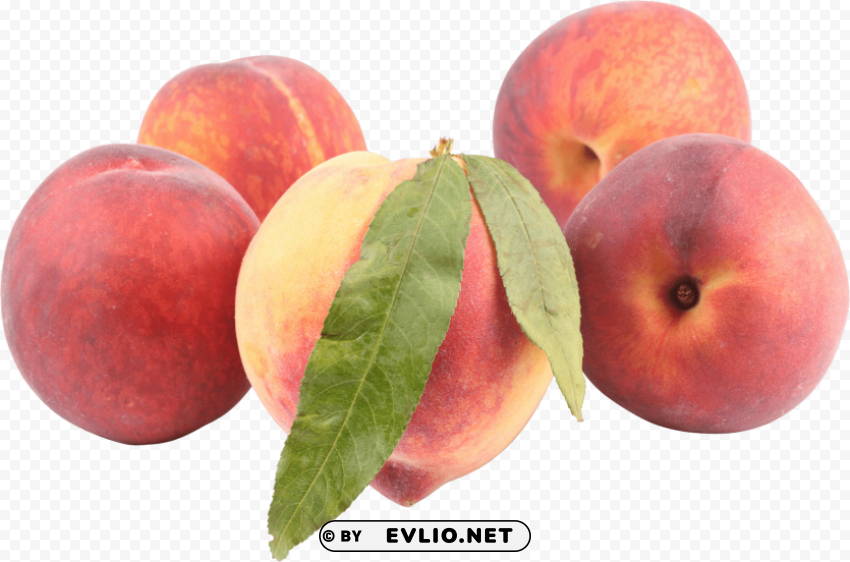 peach Isolated Subject with Clear Transparent PNG
