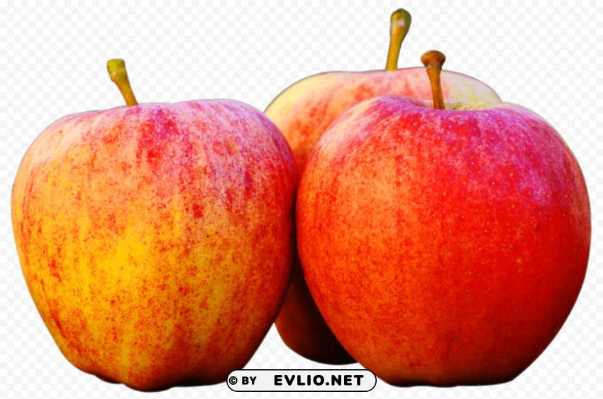 Three Apples PNG Image Isolated on Clear Backdrop