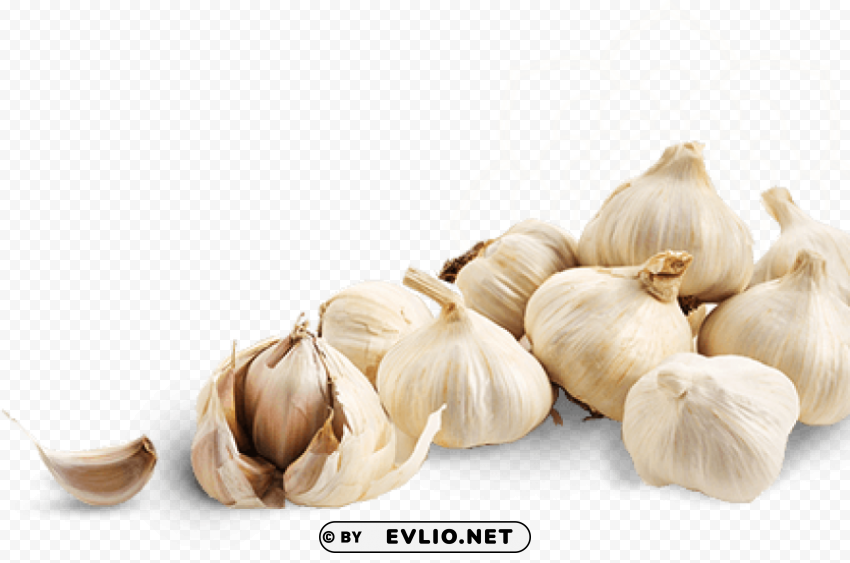 garlic ClearCut Background Isolated PNG Design
