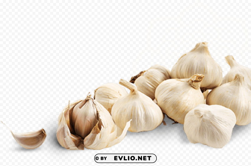 Garlic Image Clear PNG File