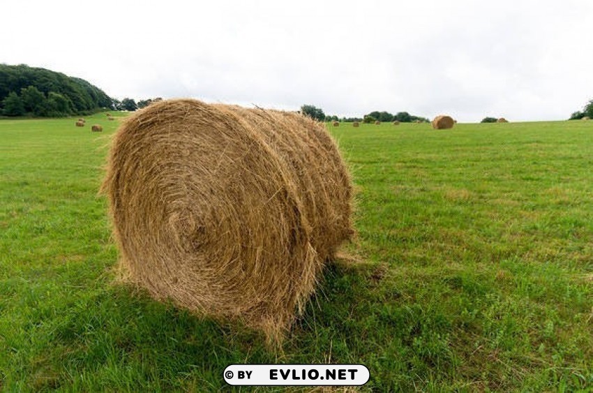 Hay Bale And Grass PNG For Presentations