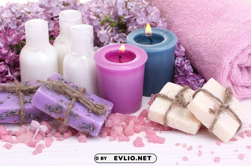lilac spa Isolated Graphic in Transparent PNG Format