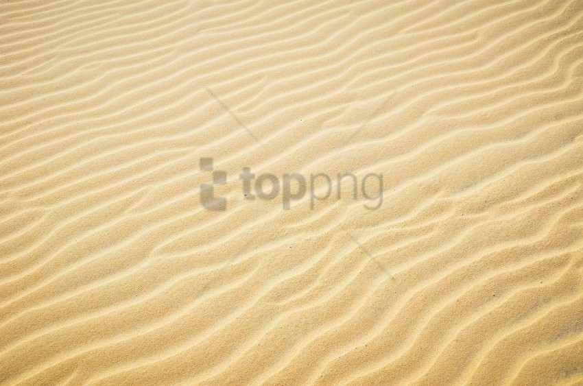 sand textured background Transparent PNG graphics assortment