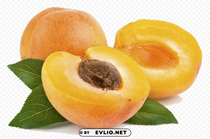 apricot file Isolated Design on Clear Transparent PNG png - Free PNG Images ID 984b00ff