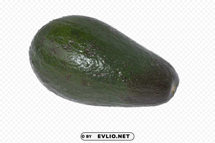 avocado PNG Graphic Isolated on Transparent Background