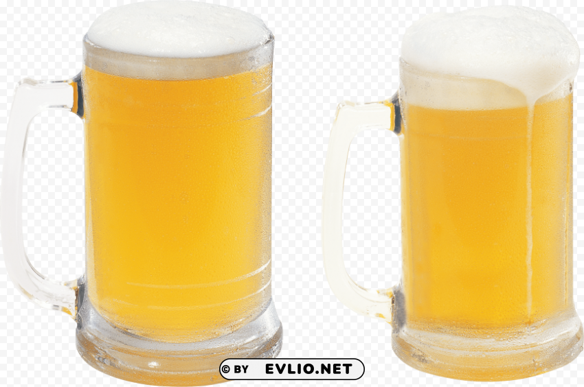 beer in mugw PNG for educational use