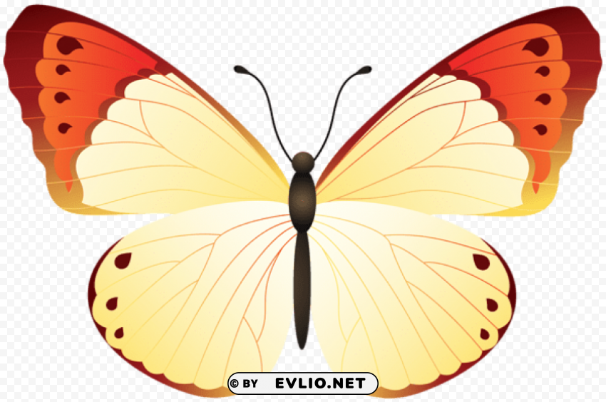 butterfly Clear background PNG elements clipart png photo - 9616efd9