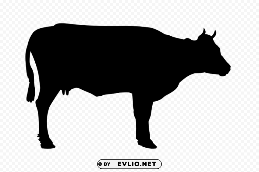cow HighQuality Transparent PNG Isolated Object