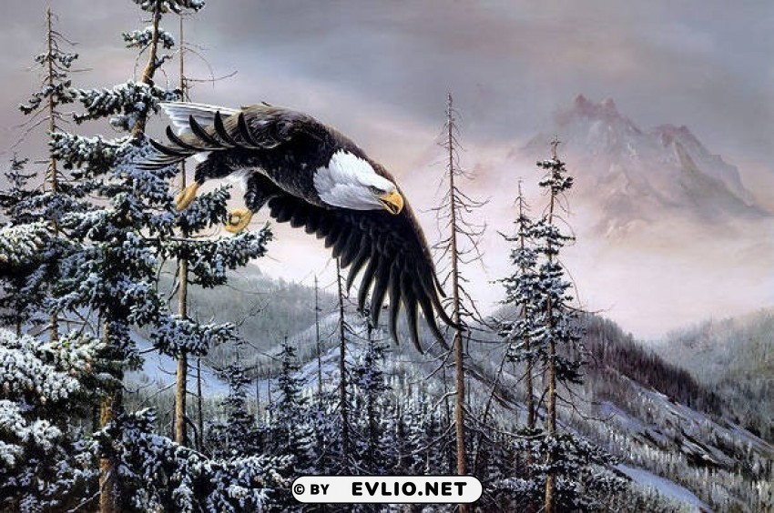 Eagle Flight In Winter Forest Painting PNG Illustration Isolated On Transparent Backdrop