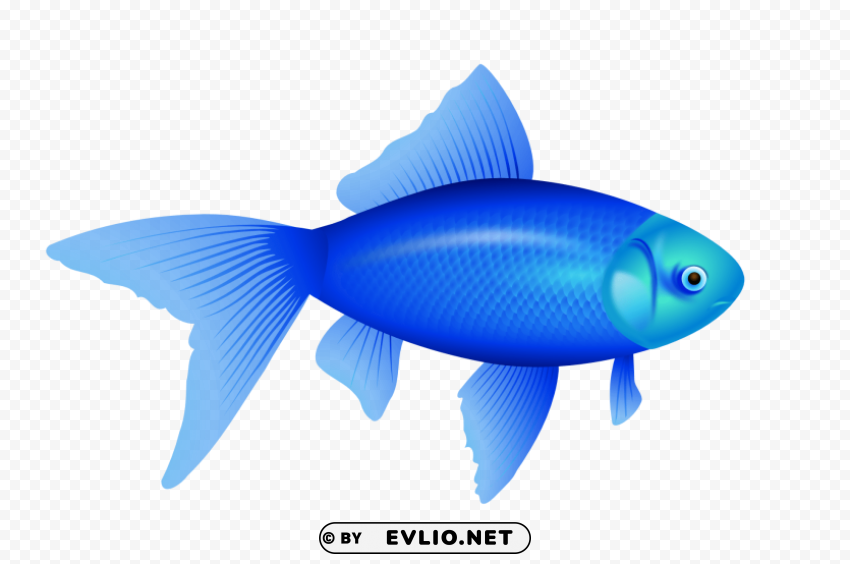 fish Clear Background PNG Isolation png images background - Image ID 7c859f42