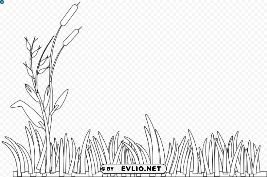 grass black and white Isolated Element in Transparent PNG PNG transparent with Clear Background ID 1d8dc00c