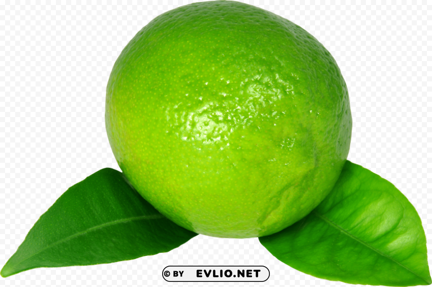 lime PNG transparent graphics comprehensive assortment PNG images with transparent backgrounds - Image ID d0c1a363
