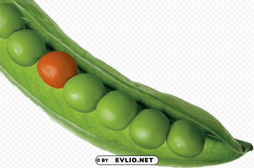 pea Free PNG images with alpha channel variety