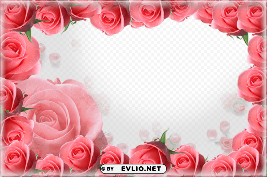 pink roses frame PNG files with no backdrop wide compilation