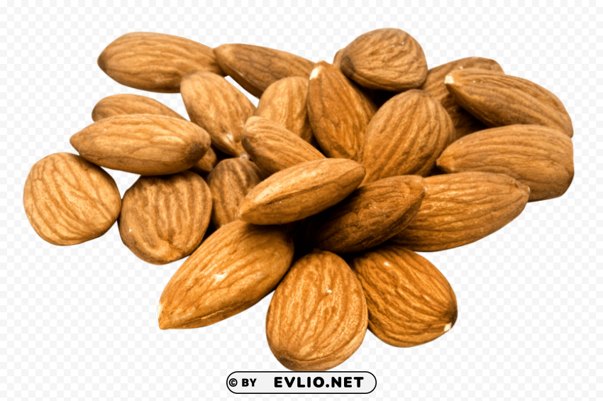 Almond Free PNG images with alpha transparency