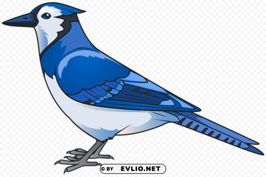 blue bird High-resolution transparent PNG images set