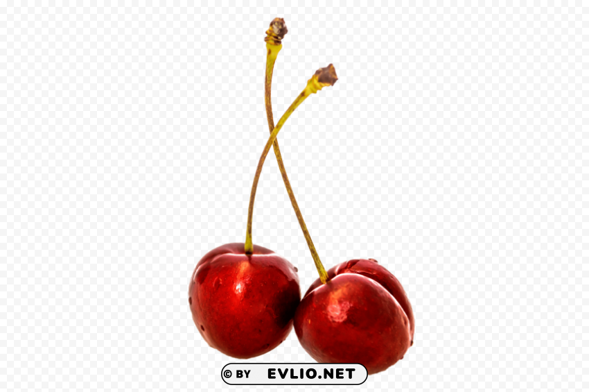 Cherry Transparent PNG Images With High Resolution