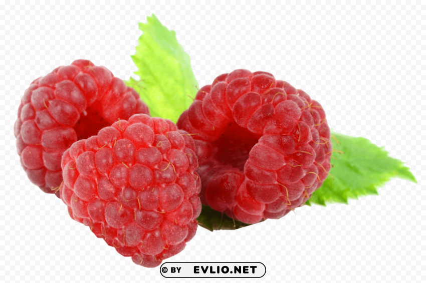 Raspberry Isolated Object on Transparent Background in PNG