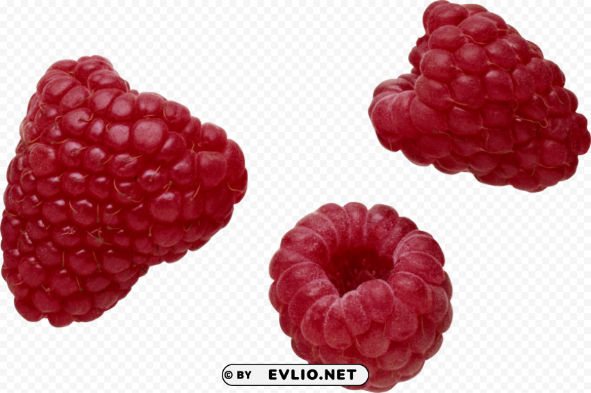 raspberry Isolated Element in Clear Transparent PNG
