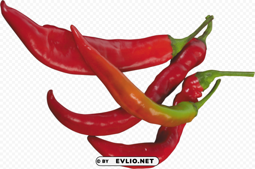 red pepper PNG graphics with clear alpha channel broad selection