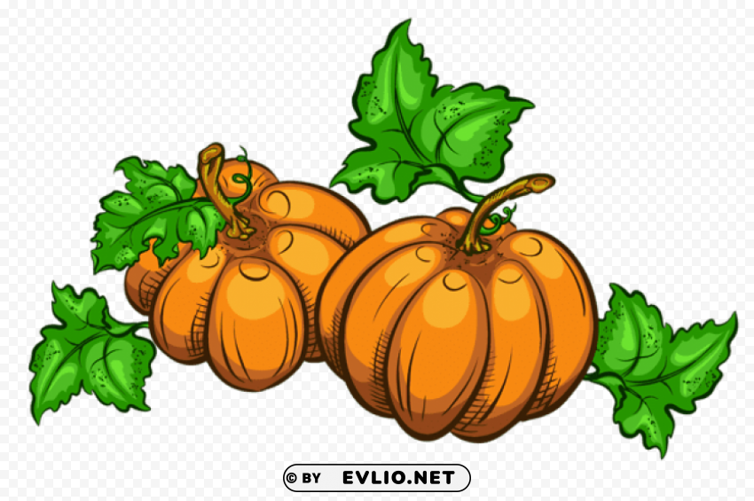  pumpkinspicture PNG transparent elements complete package png images background -  image ID is 166ea308