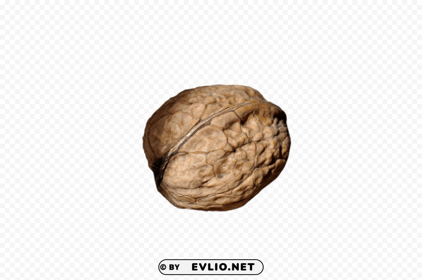 walnut Transparent design PNG