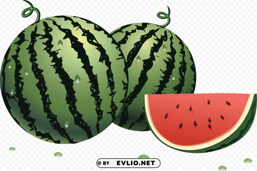 watermelon Clear Background Isolation in PNG Format