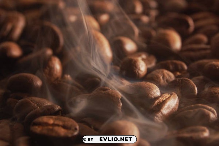 aromatic coffee beans PNG Image Isolated with Clear Transparency
