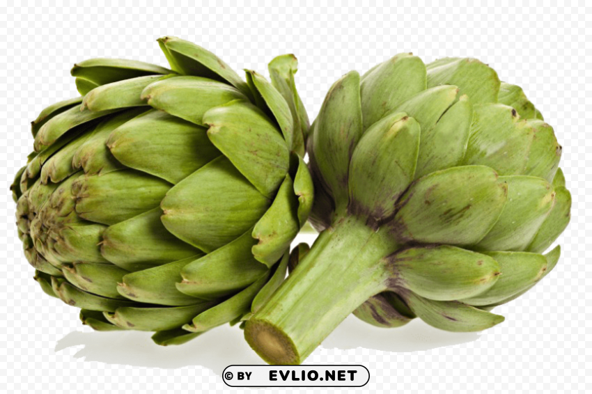 Transparent artichokes PNG images with transparent canvas variety PNG background - Image ID 67020ca9