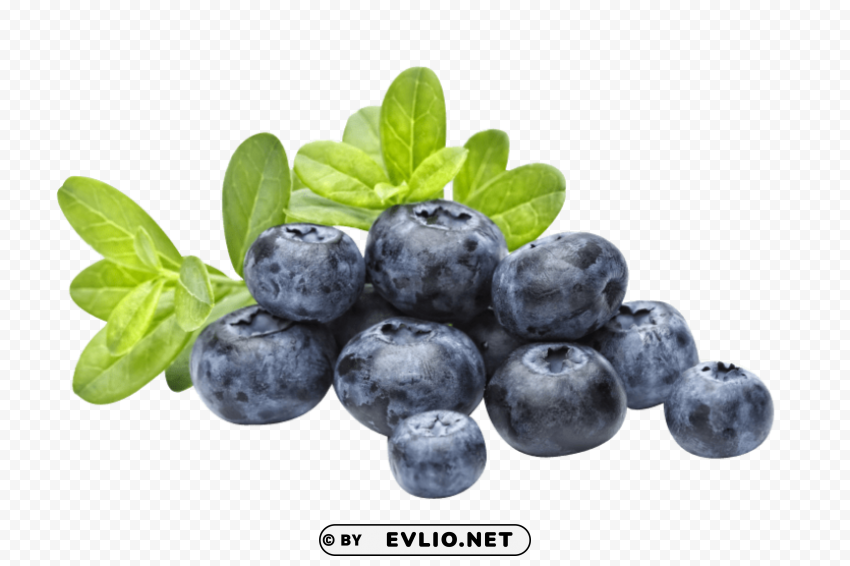 blueberries PNG Graphic with Transparent Isolation