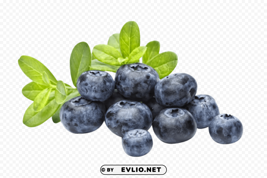 blueberry Transparent Background PNG Isolated Design