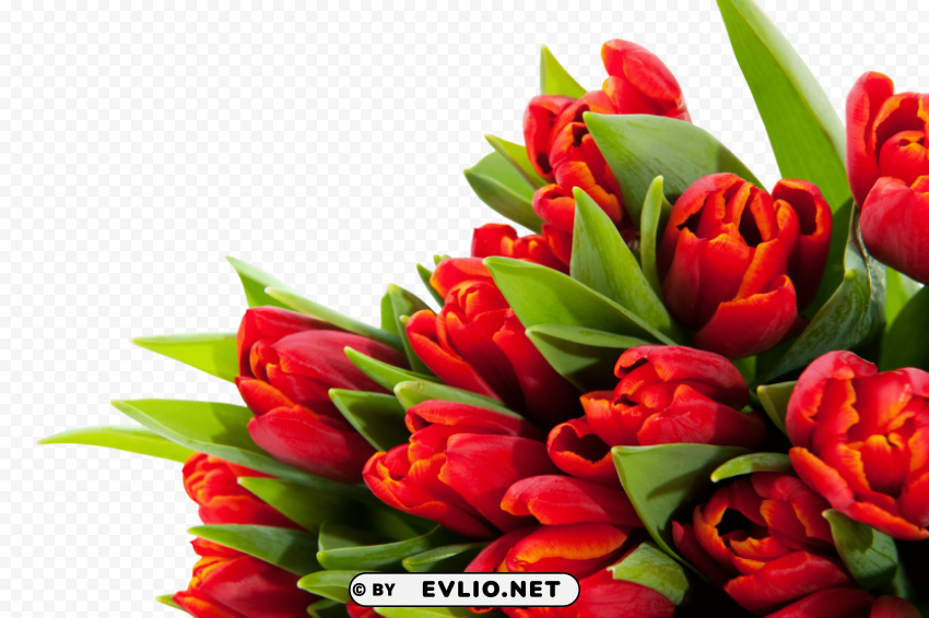 bouquet of flowers Clean Background Isolated PNG Graphic Detail