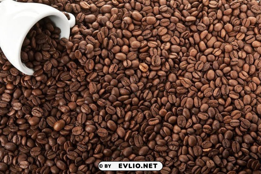 coffee beans PNG Image Isolated with High Clarity
