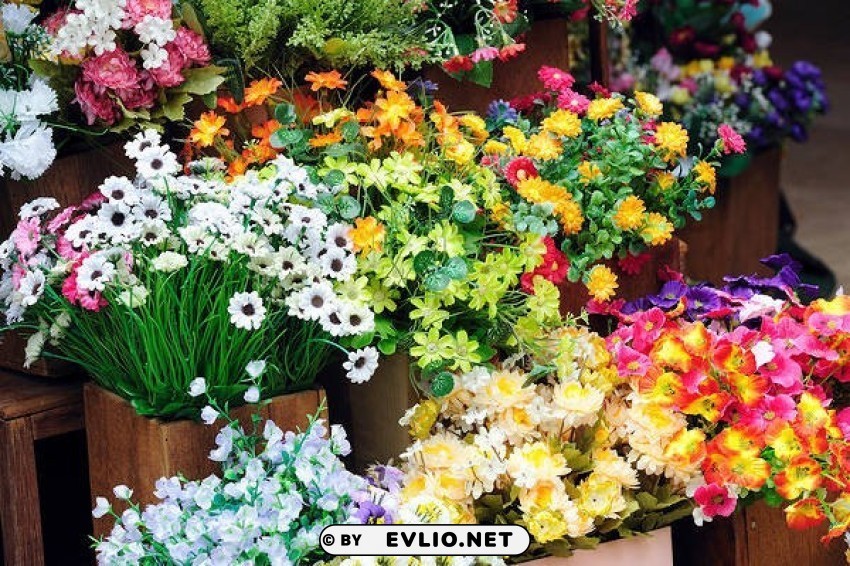 flowers shop Isolated Design Element on PNG