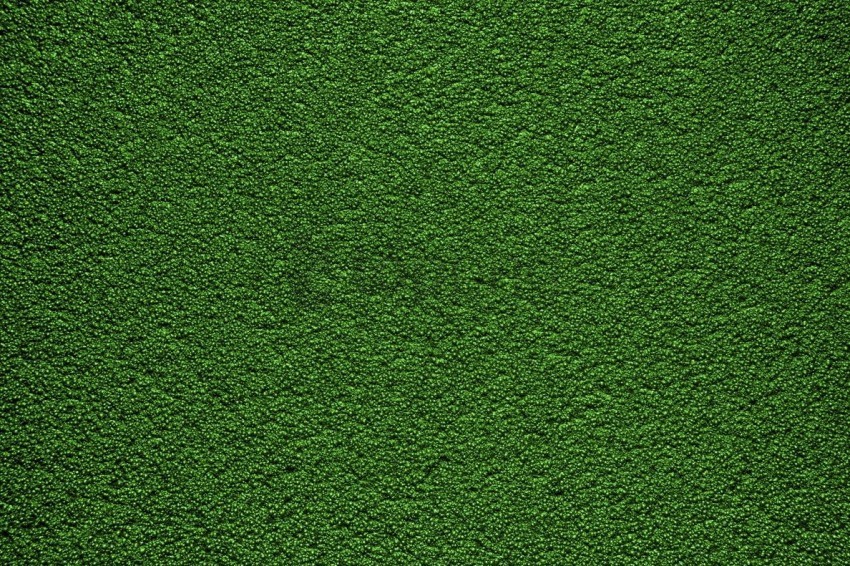 green texture PNG pictures with no background