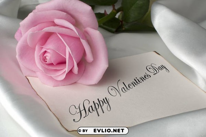 happy valentines day with pink rose PNG images with no background necessary