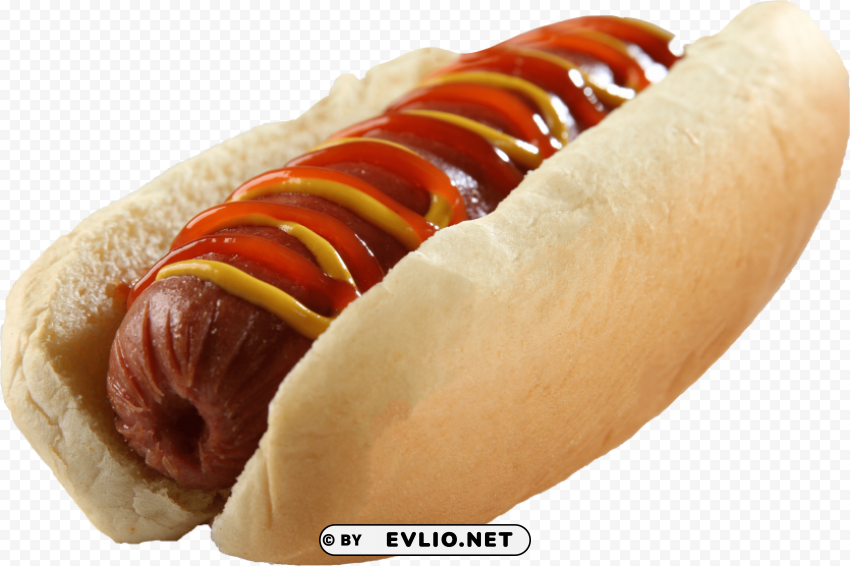 Hot Dog Isolated Artwork On Transparent PNG