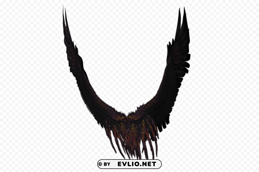 long black and purple wings PNG with no registration needed