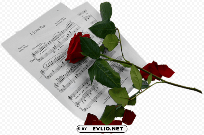 music score love and red rose PNG free download transparent background