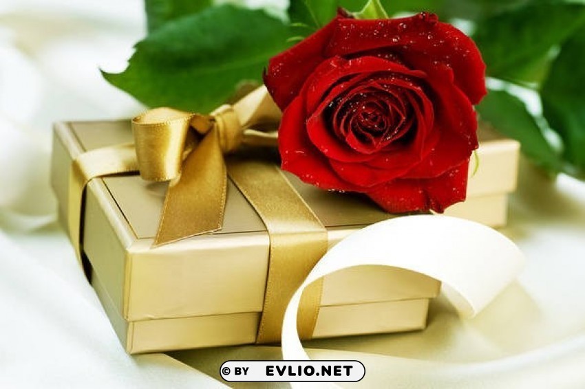 red rose and gift large PNG art